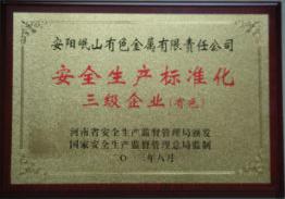 2013年度安全生產(chǎn)標準化